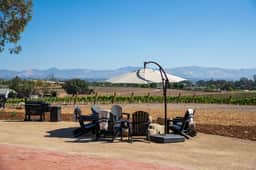Deboem Organic Vineyard - Image 3