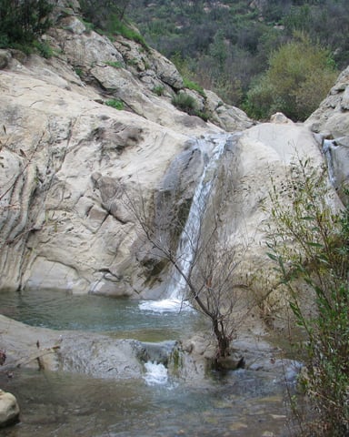 Mountain stream with small waterfall flowing over pale limestone rocks surrounded by dense forest