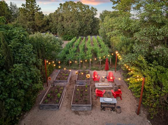 Casa Calzada Vineyard - Image 4