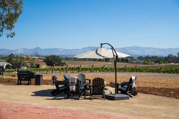 Deboem Organic Vineyard - Image 3
