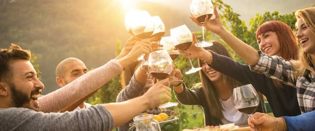 Group of friends toasting wine glasses at outdoor table with vineyard and sunset in background