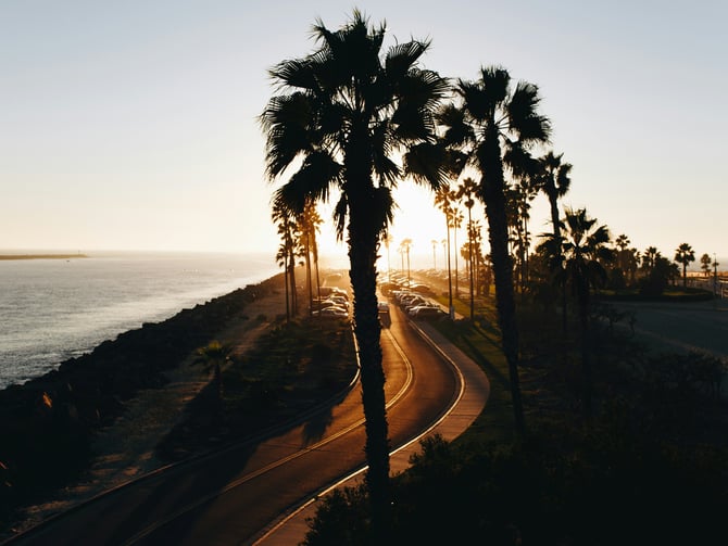 Palm-lined coastal road at sunset